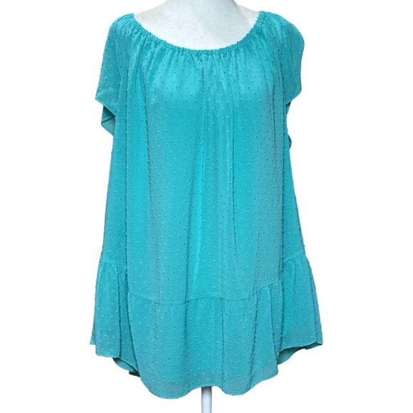 Anthropologie Daniel Rainn Top Shirt Womens 2XL Blue White Swiss Dot Sheer Tunic - Picture 4 of 7